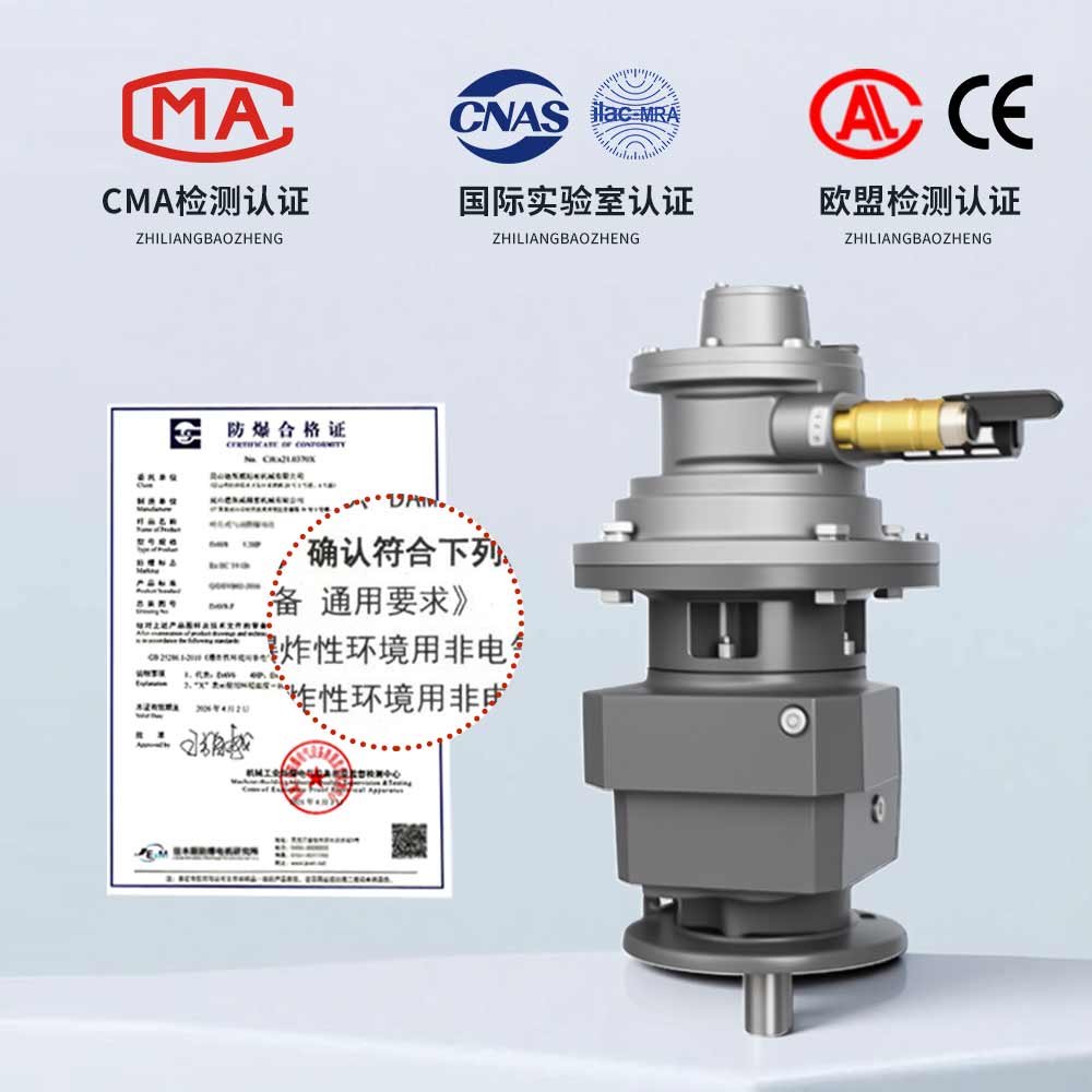 气动减速马达 叶片式气动马达配斜齿轮减速机