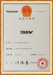 德斯威DSV品牌证书